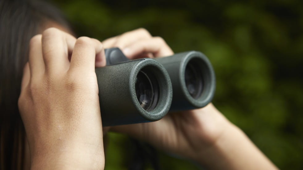 girl birdwatching with binoculars